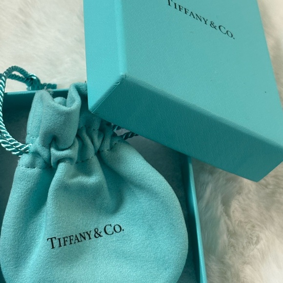 Authentic TIFFANY & CO Sterling Silver Large 1837 Hoop Earrings - Picture 6 of 6